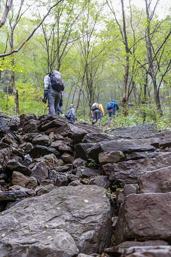 구련산 트레킹은 일반적으로 차도 다닐 수 있을 정도로 넓은 산간도로를 걷는데 이번 일정에선 특별히 꽤 힘든 산길을 추가해서 더 걸었다.