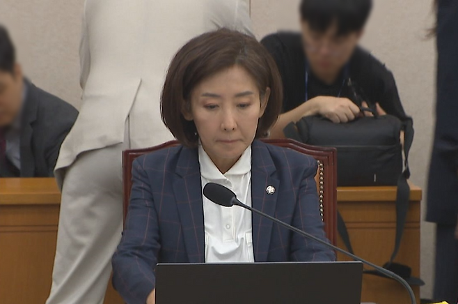 나경원 국민의힘 의원