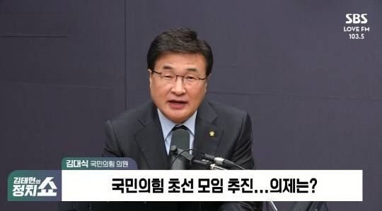 김대식 국민의힘 의원. SBS라디오 김태현의 정치쇼 캡처