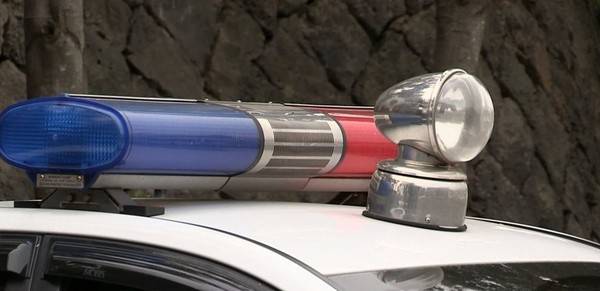 경찰차 [자료사진 = 연합뉴스]