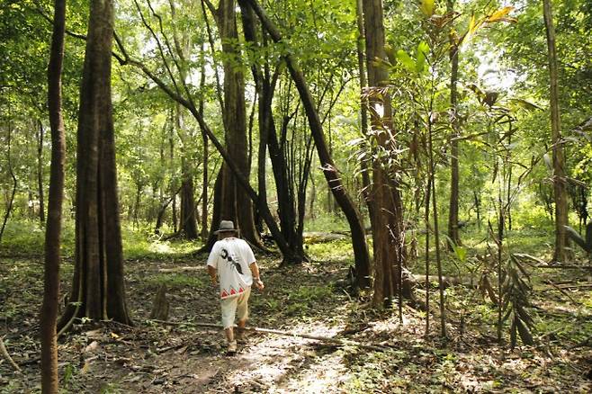 마을의 연장자인 보보리 사테레-마웨는 ‘사후아 페’ 무늬를 새긴 옷을 입고, 기자들을 숲으로 안내했다. 어린이과학동아 제공