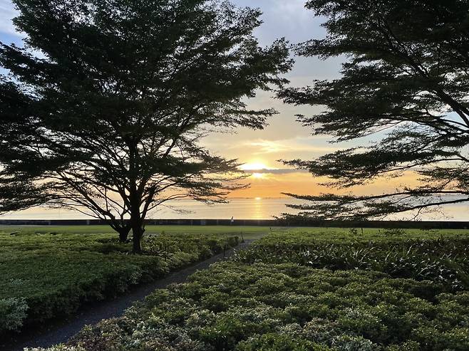 /사진=김영리 기자