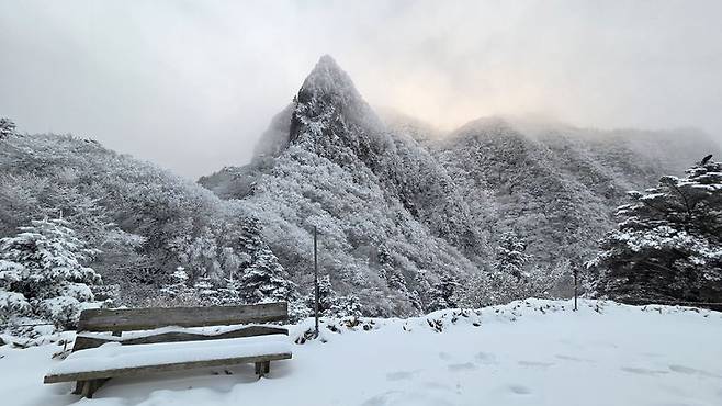 [제주=뉴시스] 우장호 기자 = 초겨울 추위가 이어진 20일 오전 제주 한라산 정상부 탐방로에 많은 눈이 쌓여 아름다운 광경을 연출하고 있다. (사진=독자 김경미씨 제공) 2025.11.20. photo@newsis.com *재판매 및 DB 금지