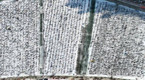 ◇대한민국 대표 겨울축제인 2026 얼음나라 화천산천어축제가 내년 1월10일부터 2월1일까지 화천천 일대에서 열린다. 사진은 2025년 1월 산천어축제 얼음낚시터를 가득 메운 관광객.