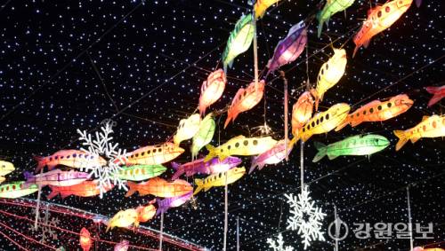 ◇선등거리를 밝히는 산천어등.