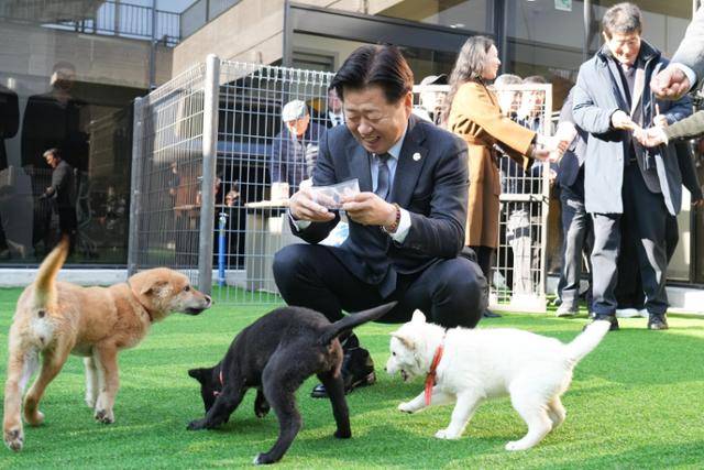 15일 제주시 애월읍 어음리에서 반려동물 놀이공원과 제2동물보호센터 개관식이 열렸다. 사진은 오영훈 제주지사가 제2동물보호센터서 반려동물을 돌보는 모습. 제주도 제공