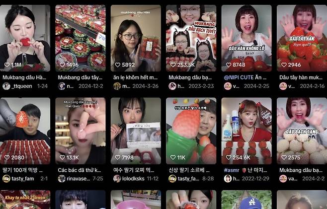 틱톡 한국 딸기 먹방 캡처본/ 사진 = 이소이 기자