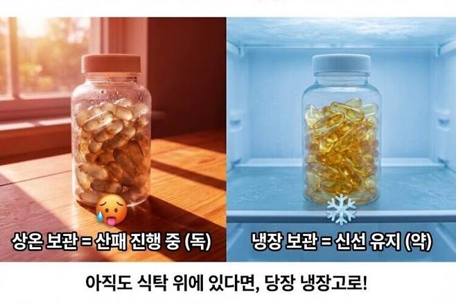 산패되기 쉬운 오메가-3는 반드시 냉장 보관해야 한다. 사진=gemini