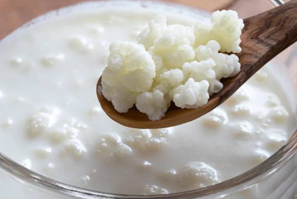 케피어. [사진=Cultures For Health]