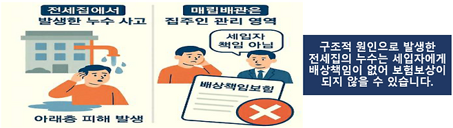 [금융감독원 제공]