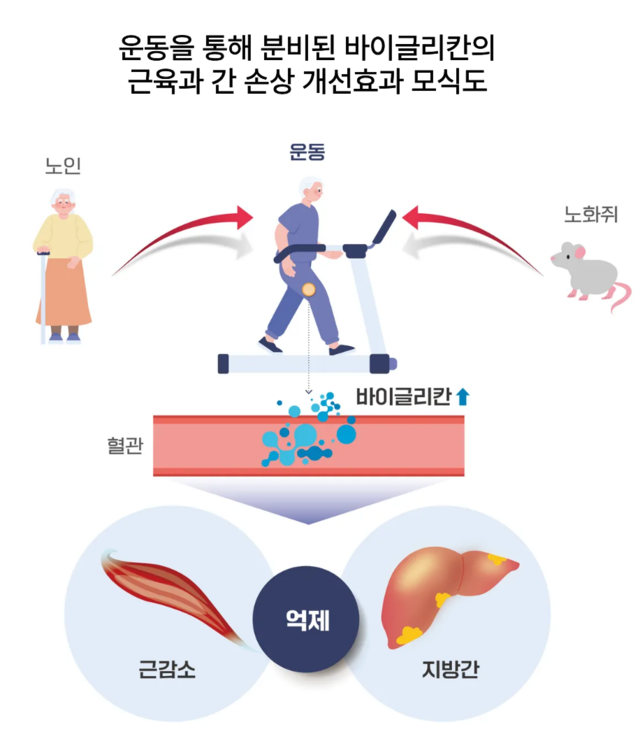 질병관리청 국립보건연구원