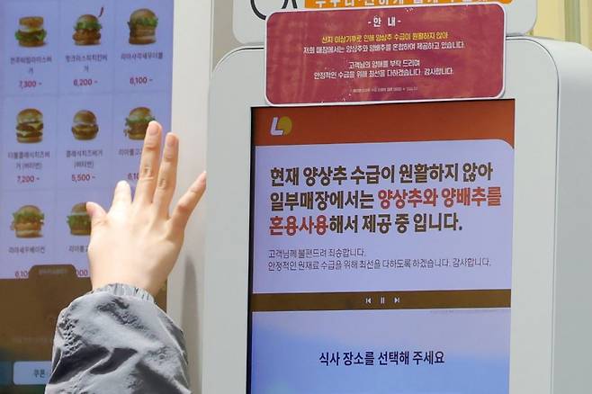 서울 시내 롯데리아 매장 키오스크에 양상추 수급과 관련한 안내문이 부착돼 있다. 뉴시스