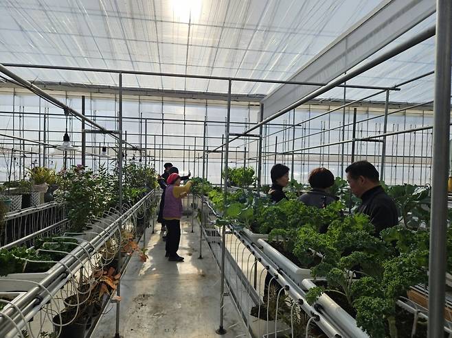 밀새싹힐링팜 스마트팜