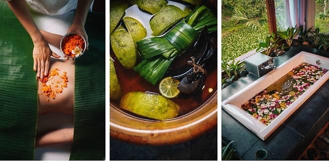 베다나 라군 리조트의 웰니스 프로그램