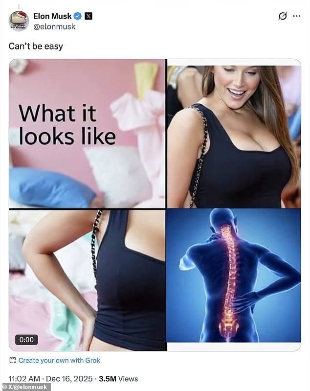 지난 16일 일론 머스크가 시드니 스위니의 의상을 보고 남긴 댓글. /X