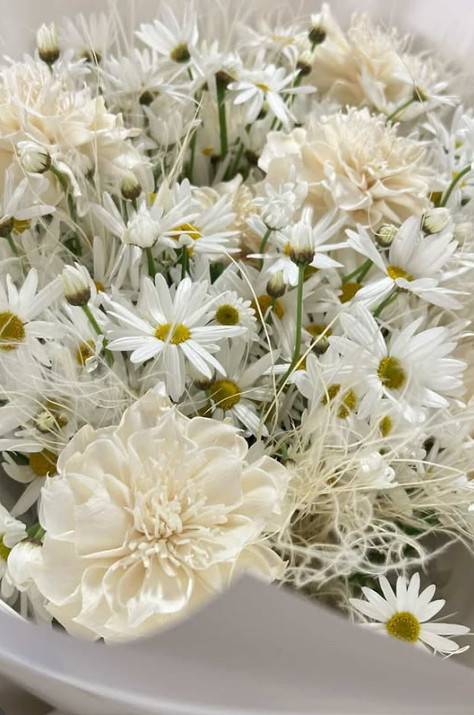 사진=이주영 공식 인스타그램