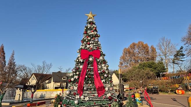 안성팜랜드 크리스마스 트리 사진=안성팜랜드