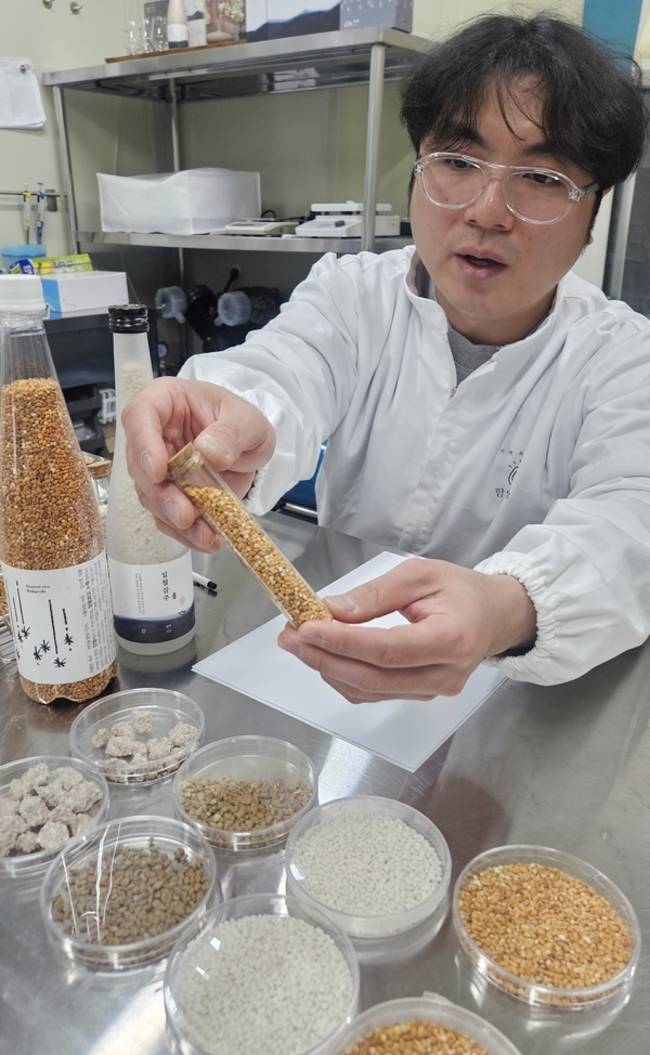 김비성 빛올양조연구소 대표가 막걸리 '화비' 생산 재료로 사용하는 구운쌀을 보여주고 있다. /유은상 기자