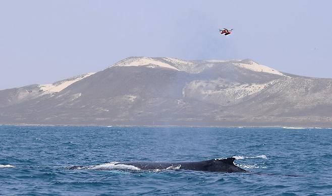(출처=노르웨이 노르드 대학교)