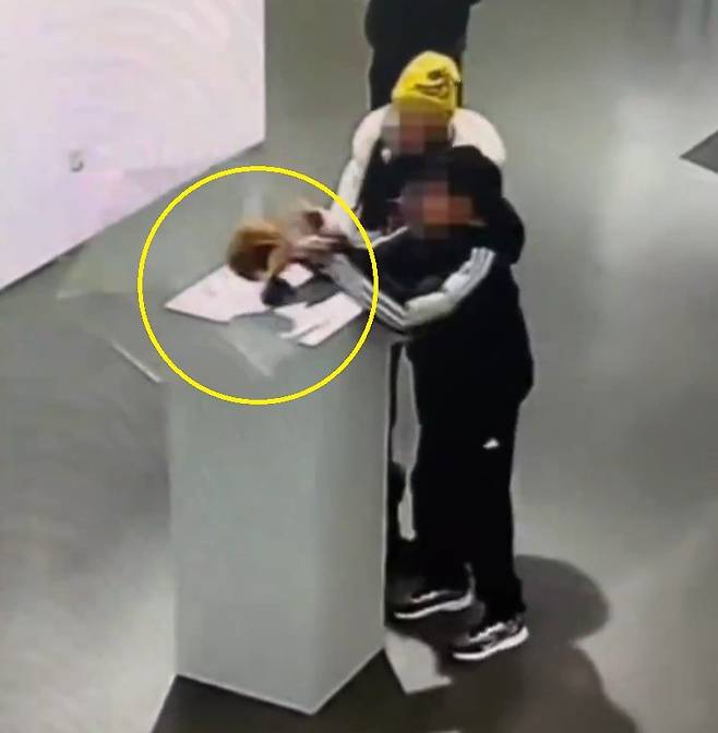 아이로 인해 떨어지는 4억원대 금관. X(구 트위터) 캡처