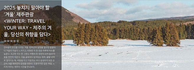 겨울 제주관광 시즌 기획 화면. 이용자 취향에 맞춰 테마형 여행 콘텐츠를 제안하고 있다. (비짓제주 화면 캡처)