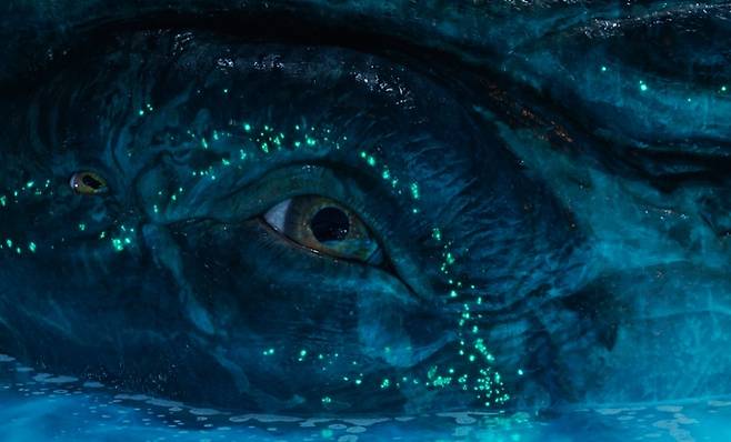 ‘아바타: 불과 재’ 사진|월트디즈니 컴퍼니 코리아