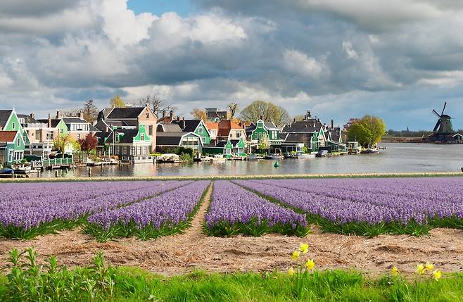 네덜란드 잔세스칸스 전통 풍차마을은 에버랜드의 테마파크에 결정적인 영감을 주었다.