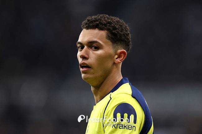 스포츠 이슈 - 도박나라