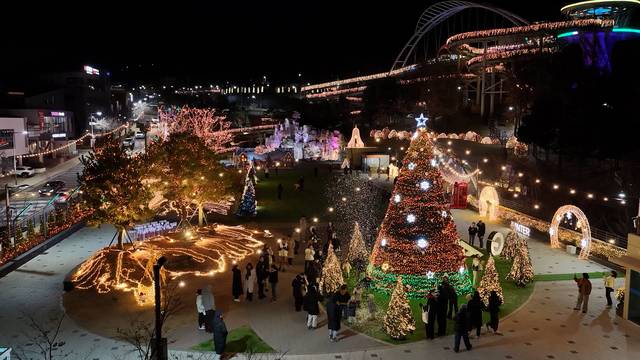 앞산빨래터공원 '겨울정원' 야경. 대구시 제공