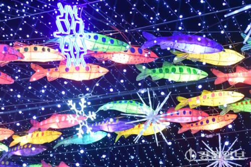 ◇화천의 겨울축제 시즌 개막을 알리는 2026 얼음나라 화천산천어축제 선등거리 점등식이 20 화천읍 중앙로 일대에서 김진태 지사, 신경호 교육감, 최문순 군수, 류희상 군의장, 김진호 7사단장, 임승규 15사단 작전부사단장 등이 참석한 가운데 열렸다. 사진은 불 밝힌 선등거리