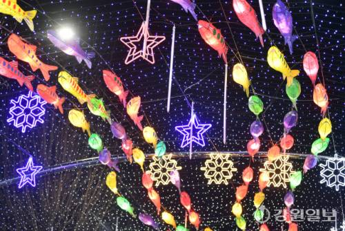 ◇화천의 겨울축제 시즌 개막을 알리는 2026 얼음나라 화천산천어축제 선등거리 점등식이 20 화천읍 중앙로 일대에서 김진태 지사, 신경호 교육감, 최문순 군수, 류희상 군의장, 김진호 7사단장, 임승규 15사단 작전부사단장 등이 참석한 가운데 열렸다. 사진은 불 밝힌 선등거리