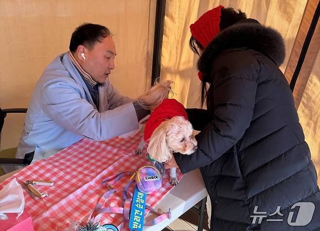 마포구 김재현 상암동물병원 원장이 21일 난지한강공원 반려동물캠핑장에서 반려견 건강상담을 하고 있다(서울시수의사회 제공). ⓒ 뉴스1