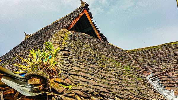 물 빠짐이 수월하게 급경사를 이룬 지붕은 나무 기와로 얹혀 있었다.