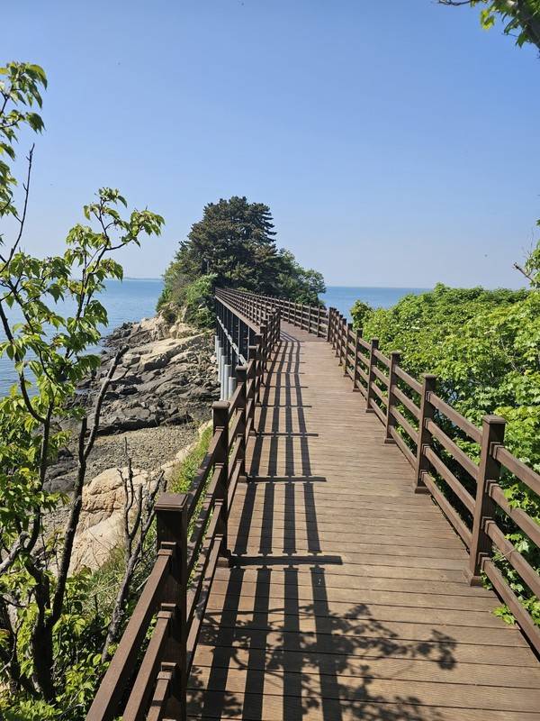 자월도, 목섬 구름 다리 [경인방송DB]