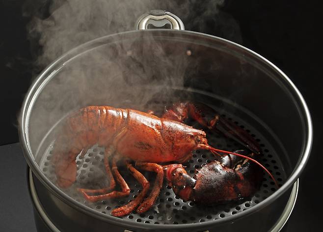 [게티이미지뱅크]