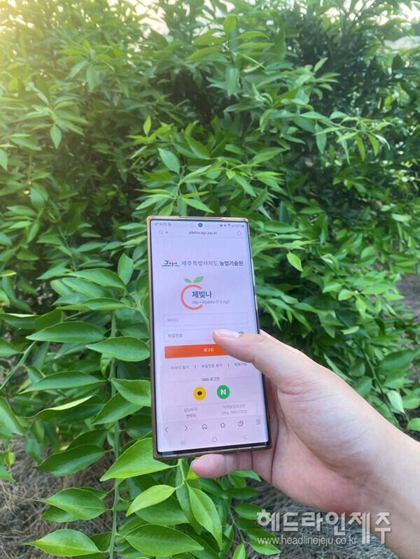 제빛나 휴대폰 구동 모습. (사진=제주도농업기술원)