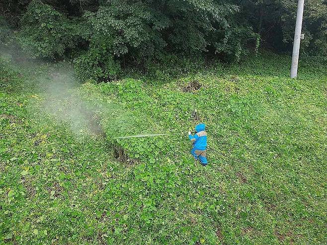 한경환경보전이 고유의 기술로 생태계교란식물 가시박을 박멸하는 모습 / 출처=한경환경보전