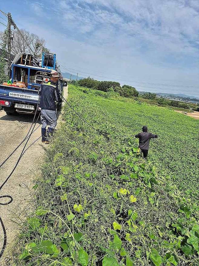 한경환경보전이 고유의 기술로 생태계교란식물 가시박을 박멸하는 모습 / 출처=한경환경보전