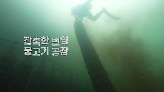 [목포=뉴시스]목포MBC 특집다큐 ‘잔혹한 번영 물고기 공장’. (사진=목포MBC 제공) 202.12.24. photo@newsis.com *재판매 및 DB 금지