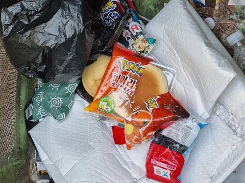 버려져 있는 포켓몬빵 [SNS 캡처. 재판매 및 DB 금지]