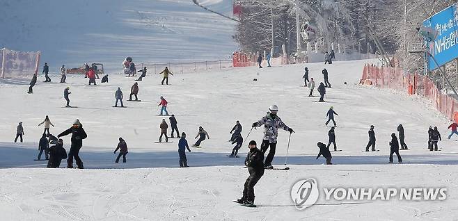 겨울스키장 시즌 개막 [연합뉴스 자료사진]