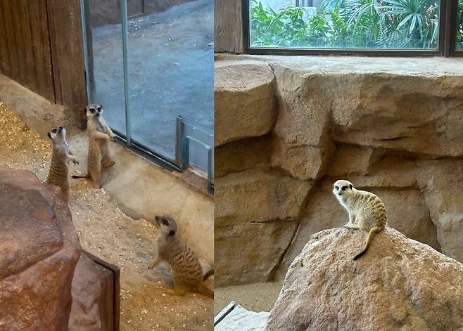 김수연 기자 xunnio410@donga.com