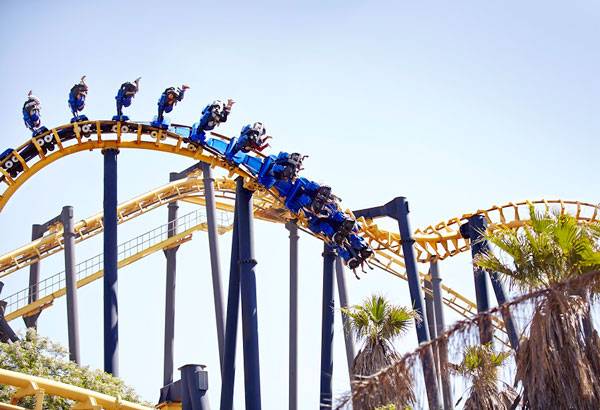 신장 결석이 롤러코스터를 탑승하면 제거되기도 한다는 놀라운 연구 결과가 있다./사진=클립아트코리아