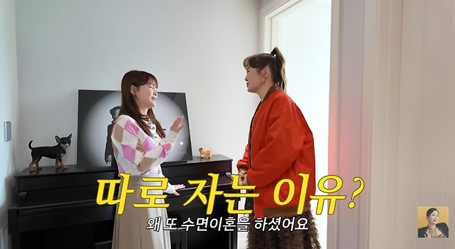 유튜브 채널 ‘A급 장영란’