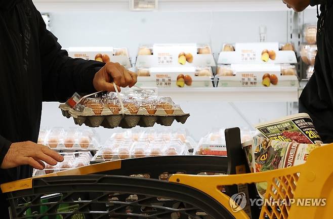 계란 수급 불안 우려 (서울=연합뉴스) 이진욱 기자 = 25일 축산물품질평가원 축산유통정보에 따르면 계란 특란 한 판(30개) 평균 소비자가격은 지난주부터 7천원을 넘었다. 가격이 뛰는 가운데 수급 불안 우려도 커지고 있다. 올해 동절기 산란계 농장 고병원성 조류 인플루엔자(AI) 발생 건수는 지난해 같은 기간보다 5건 늘어난 11건으로 두 배에 가깝다. 사진은 이날 서울 한 대형마트 계란 판매대 모습. 2025.12.25 cityboy@yna.co.kr