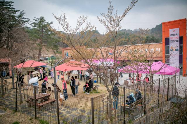 ▲ 강릉시동물사랑센터에서 열린 핑크빛 입양제