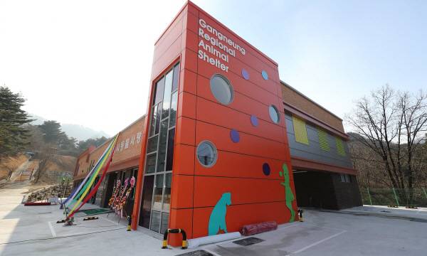 ▲ 강릉 성산면 소재 강릉시동물사랑센터