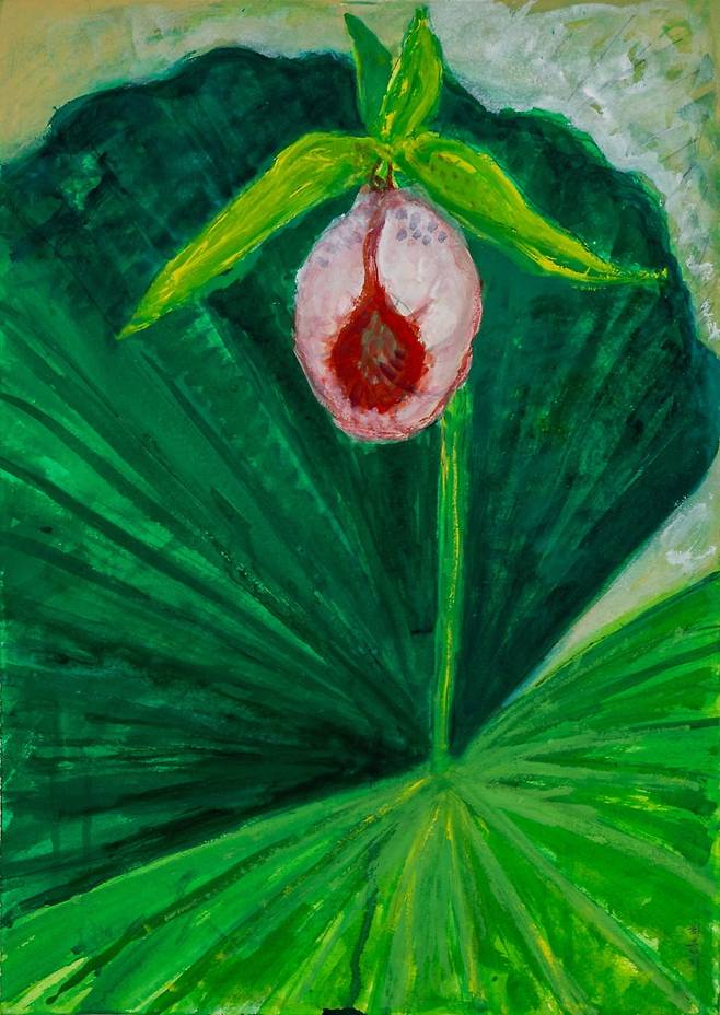 사라져 가는 얼굴- 광릉요강꽃 Disappearing Face- Korean lady's slipper, 2020, Acrylic on paper, 53×38cm. /대구미술관