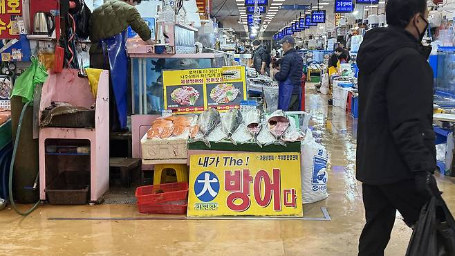 Yellowtail sold at Noryangjin Fisheries Wholesale Market in Dongjak District, eastern Seoul, on Dec. 22. [WOO JI-WON]
