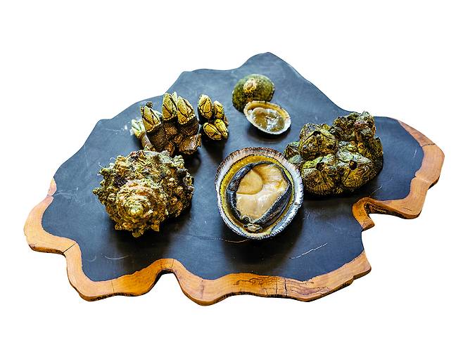 Top shells, turban shells, geobukson and limpets [JOONGANGILBO]